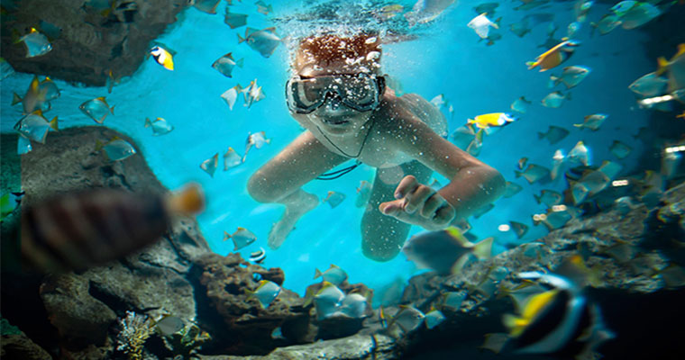 Snorkel in the Cancun Underwater Museum 